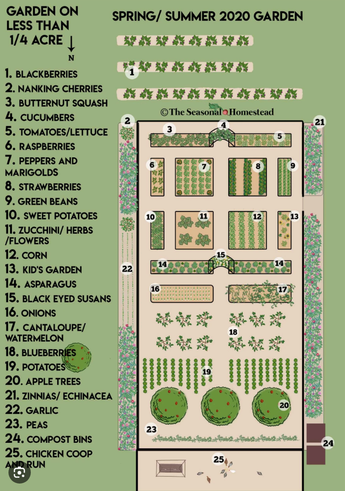 Detailed quarter-acre homestead garden layout with 25 planting zones, fruit trees, vegetable beds, and chicken coop